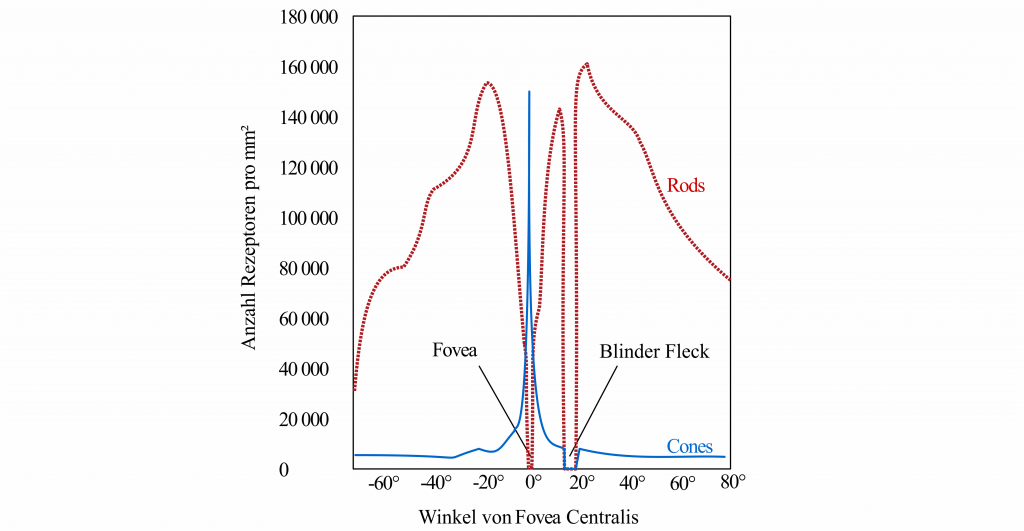 Verteilung der Photorezeptoren im Auge entlang einer Linie durch die Fovea Centralis.