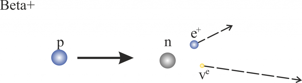 Ein Proton zerfällt in ein Neutron, ein Positron und ein Elektronneutrino