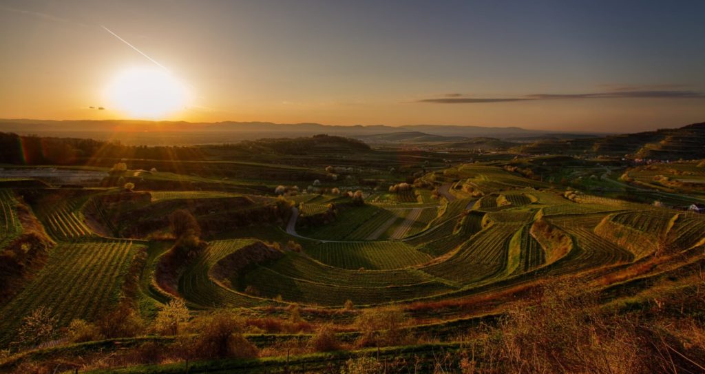 Temperaturen aus Weinerntedaten lesen